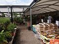2013-0727-1315_Chessington_26C